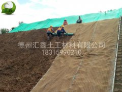 植生毯為什么可以護(hù)坡？